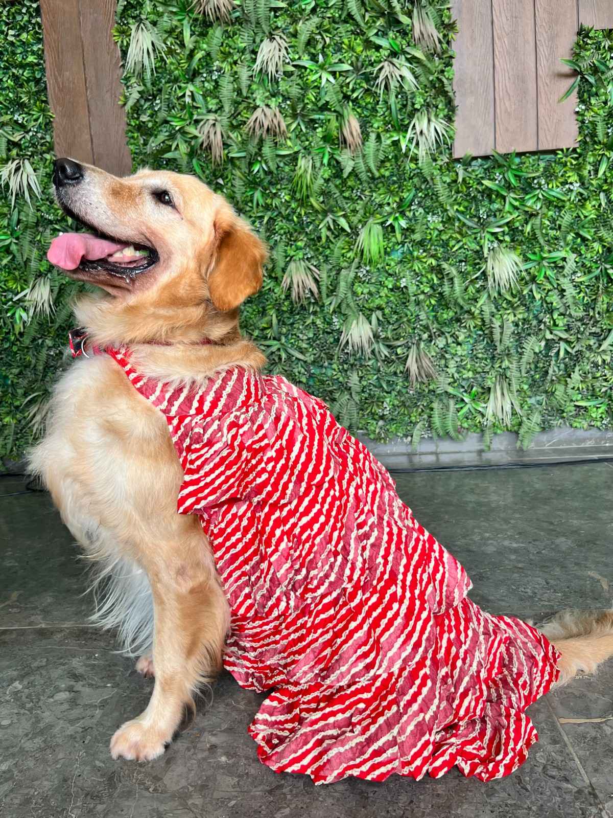Cherry Red Strips & Frill Dress