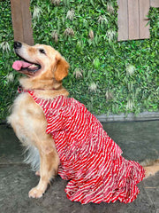 Cherry Red Strips & Frill Dress