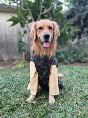 Black Floral Printed Jacket with Golden Kurta
