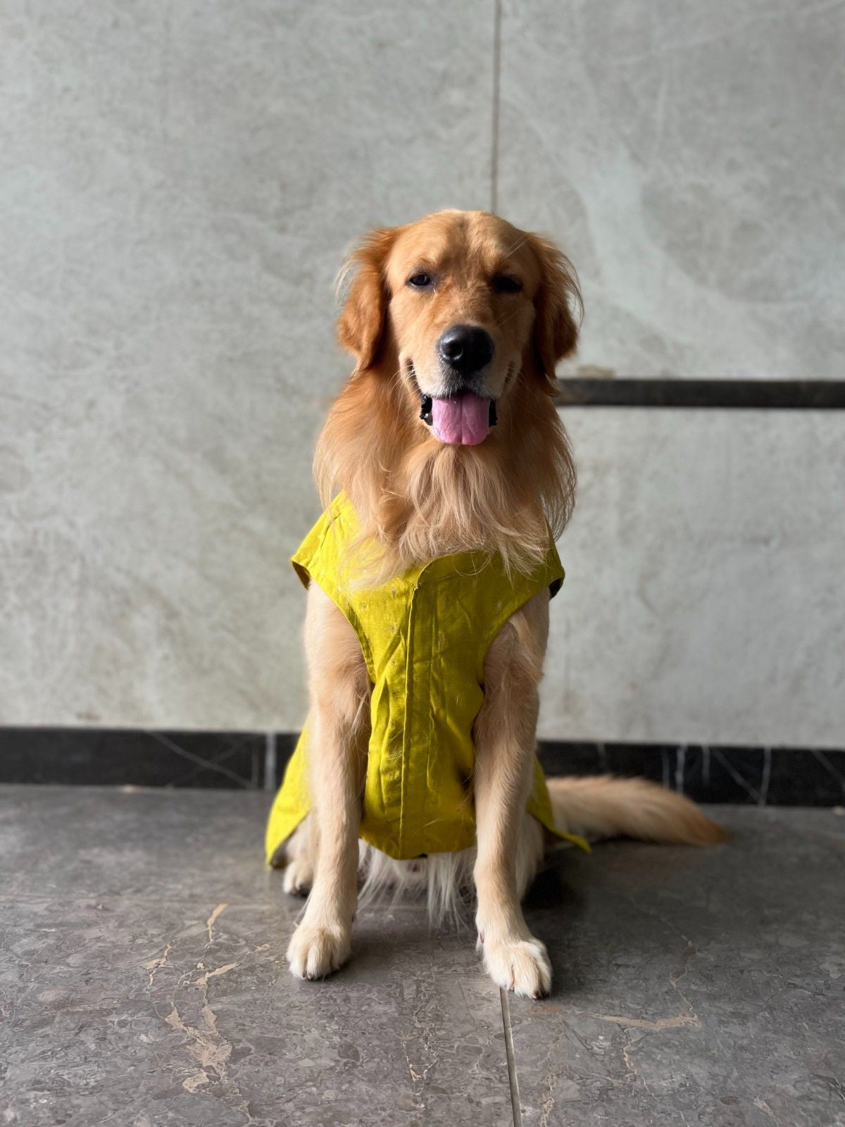 Goldenish Yellow Kurta