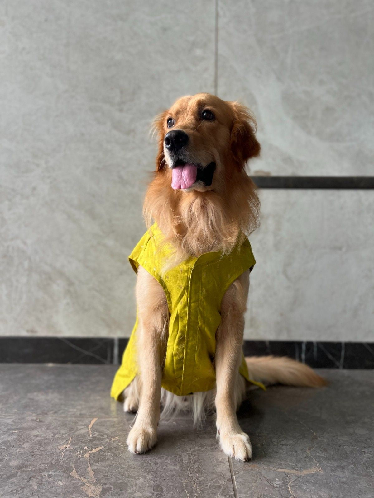 Goldenish Yellow Kurta