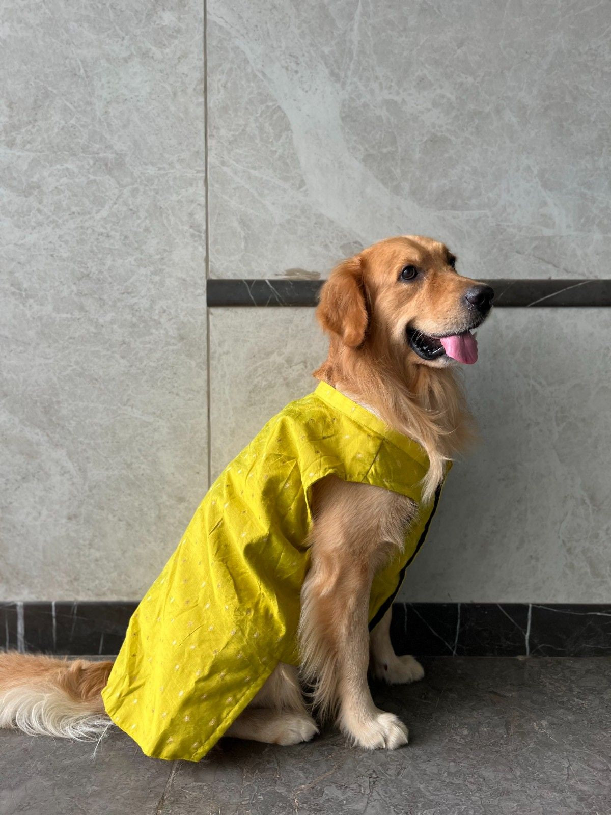 Goldenish Yellow Kurta