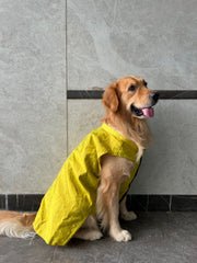 Goldenish Yellow Kurta