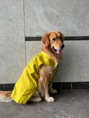 Goldenish Yellow Kurta