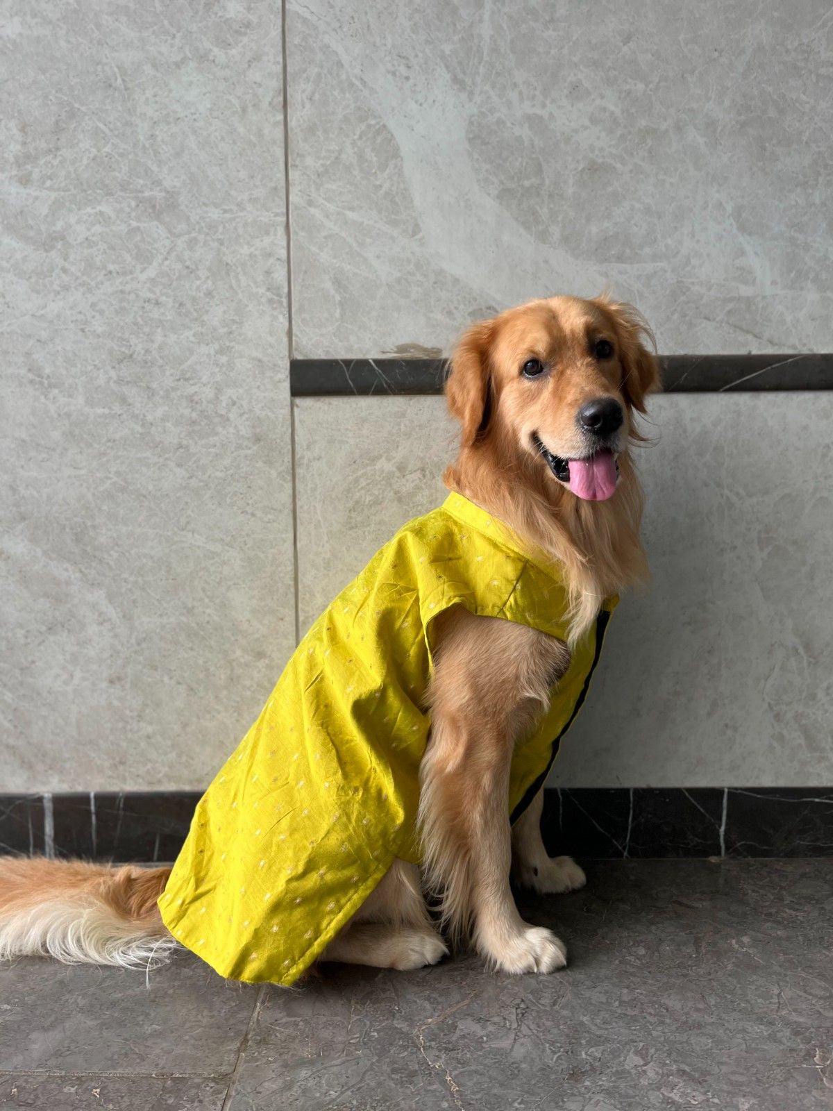 Goldenish Yellow Kurta