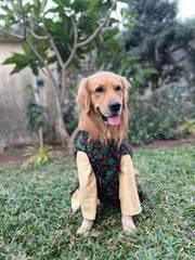 Black Floral Printed Jacket with Golden Kurta