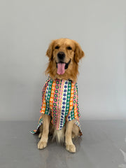 Multi Colour Stripes Floral Print Shirt