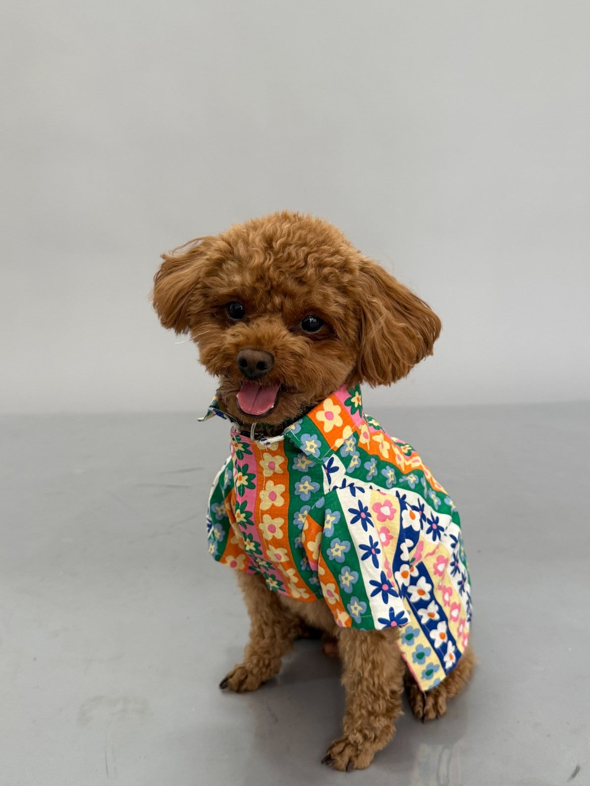 Multi Colour Stripes Floral Print Shirt
