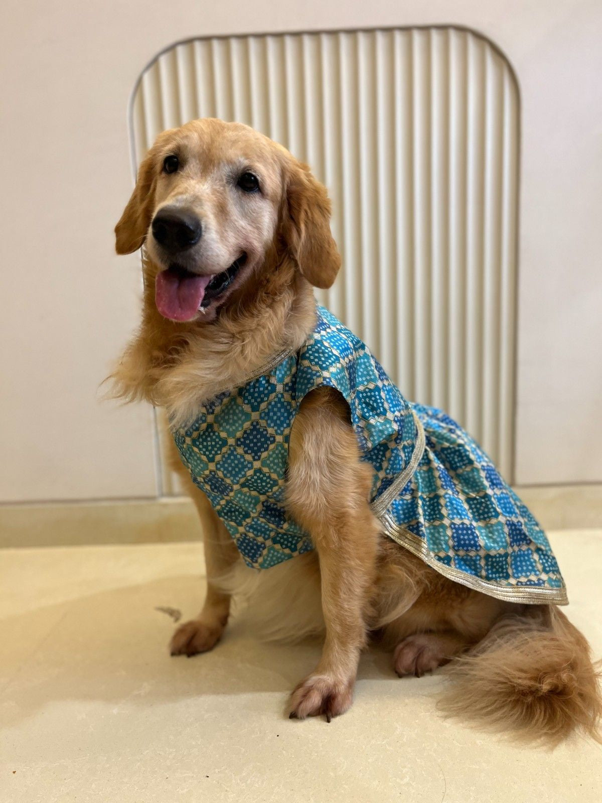 Royal Torquoise Blue Dress with Golden Border