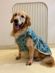 Royal Torquoise Blue Dress with Golden Border
