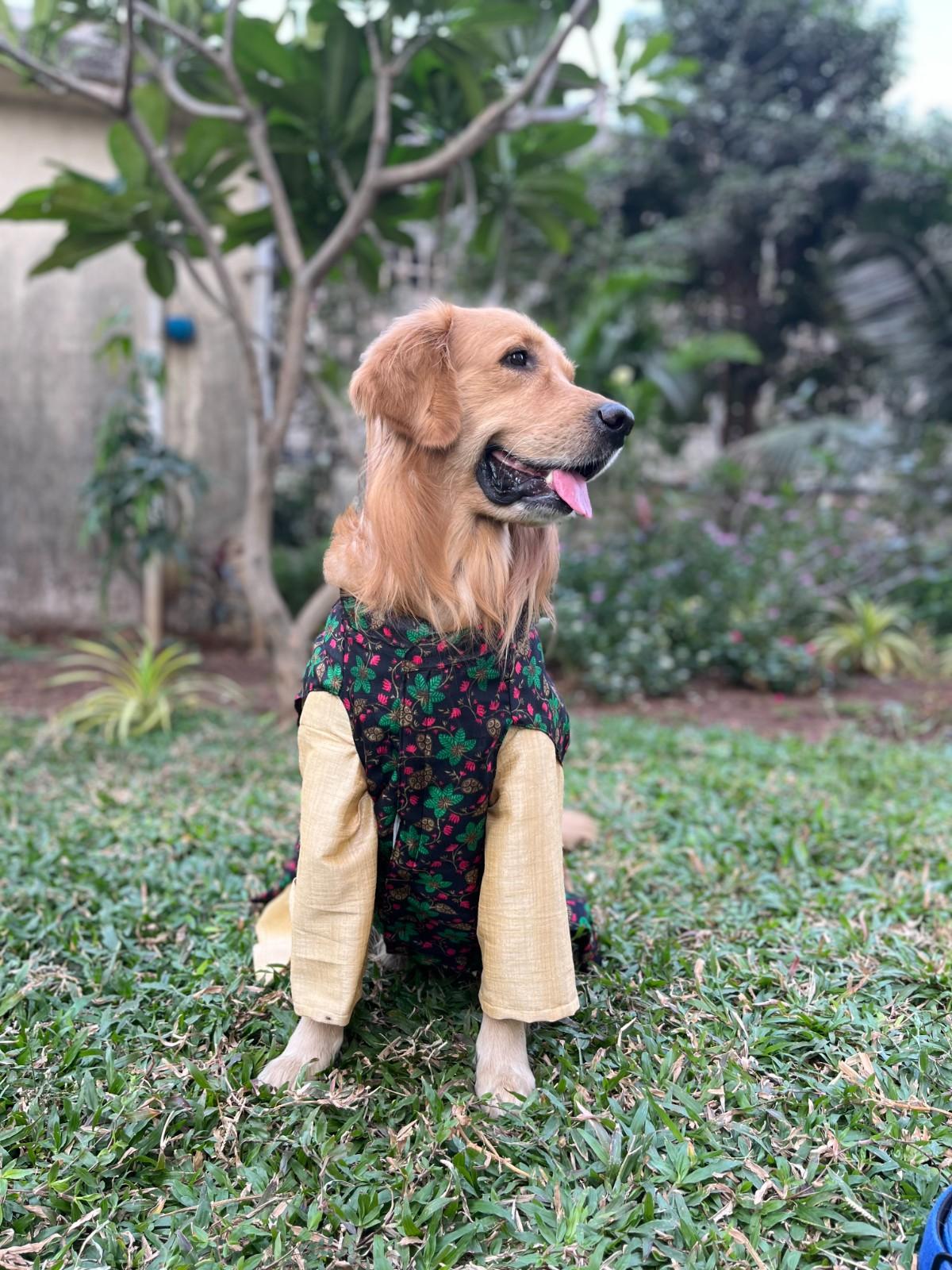 Black Floral Printed Jacket with Golden Kurta