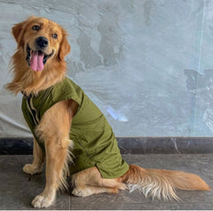 Classic Olive Green Kurta with golden Border