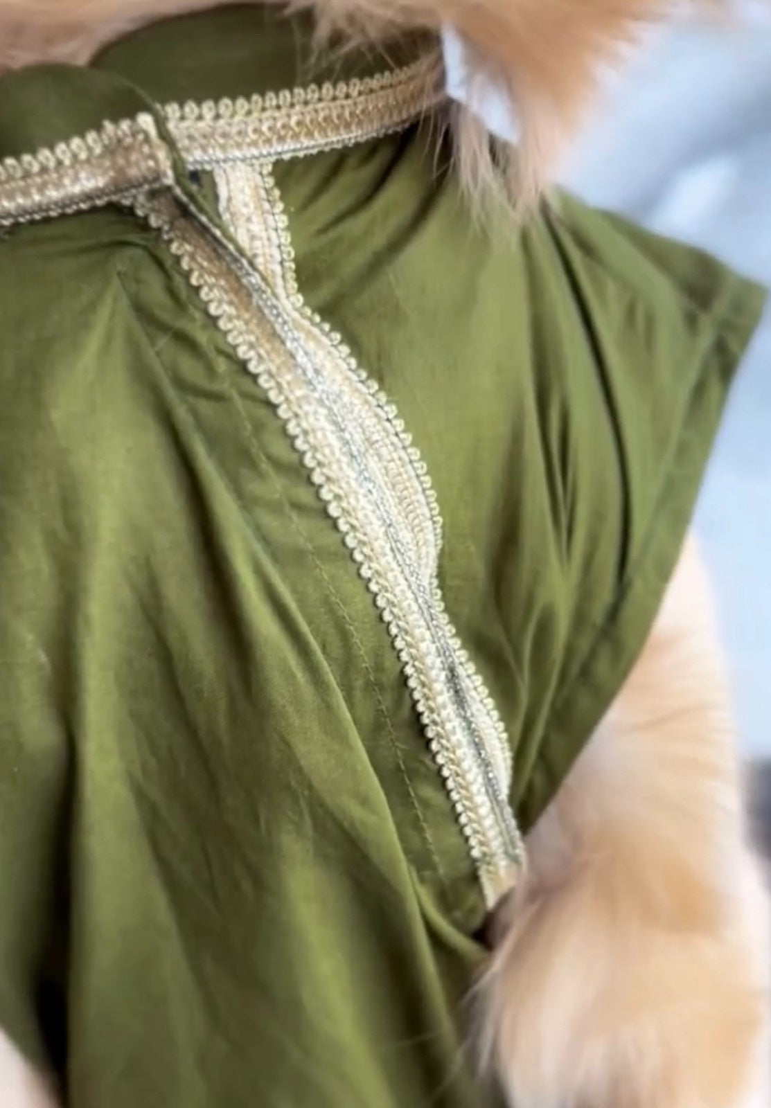 Classic Olive Green Kurta with golden Border
