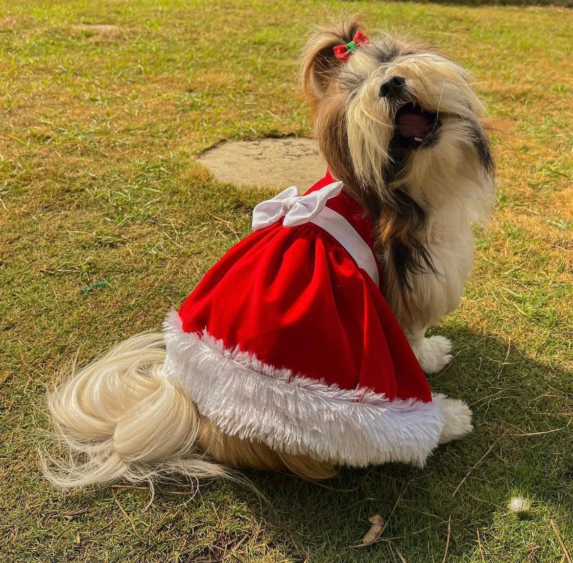 Red Velvet Dress