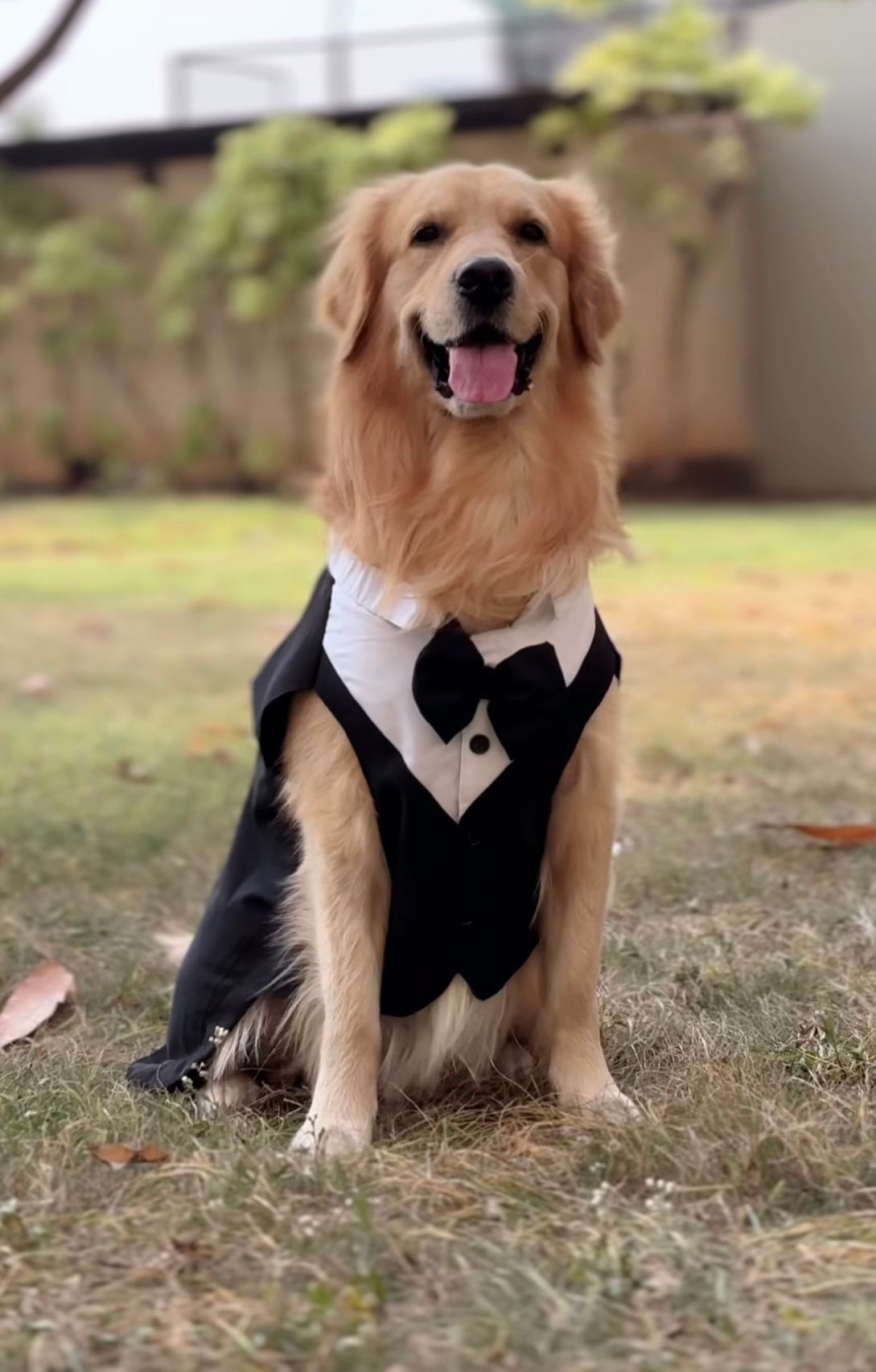 Classic Black Tuxedo