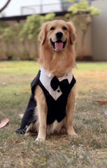 Classic Black Tuxedo