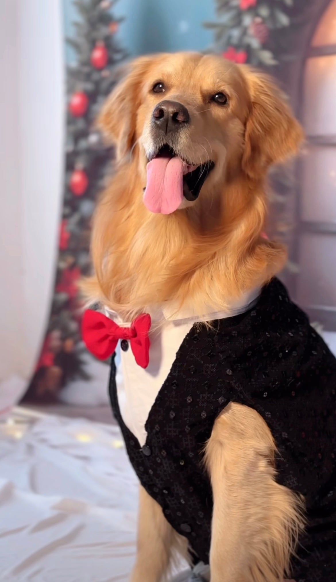 Sequins Tuxedo with Red Bow
