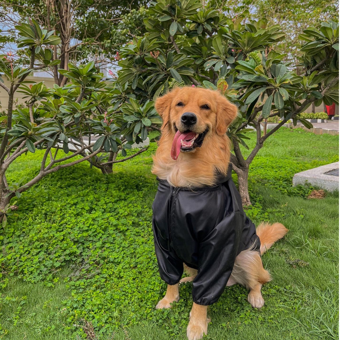 Wise Wag Two Legged Waterproof Dog Raincoat