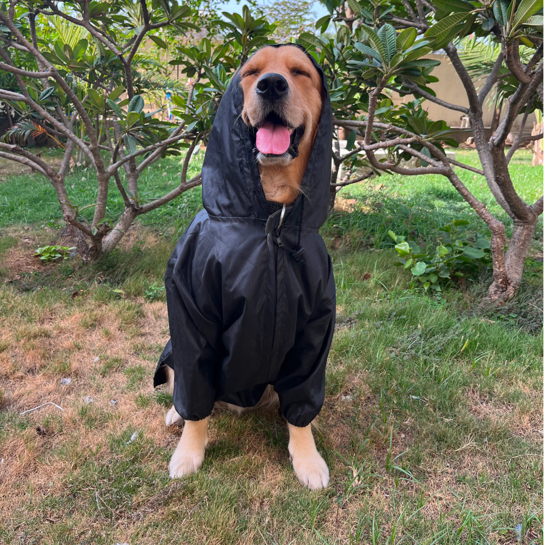Wise Wag Two Legged Waterproof Dog Raincoat