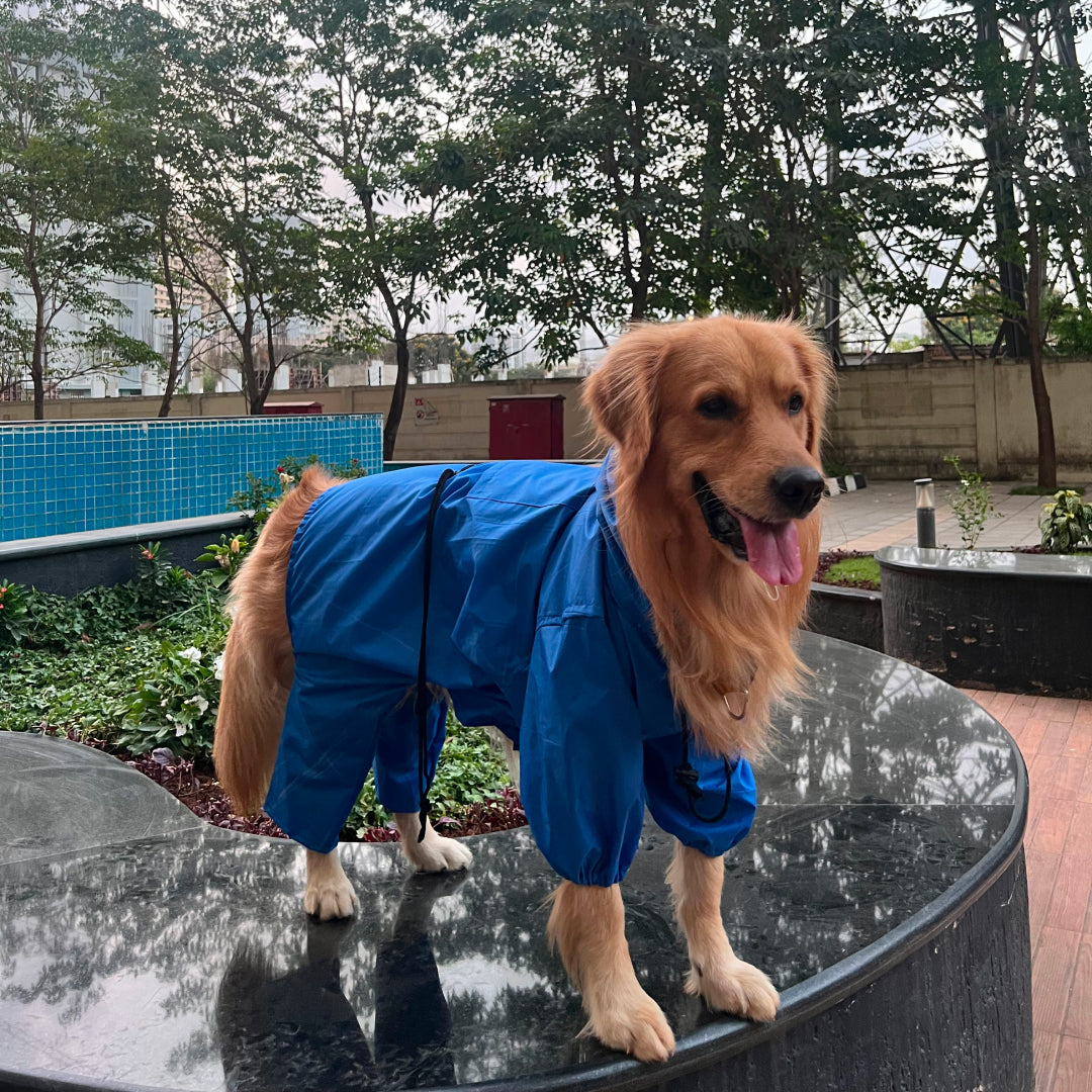 Wise Wag Four Legged Waterproof Dog Raincoat