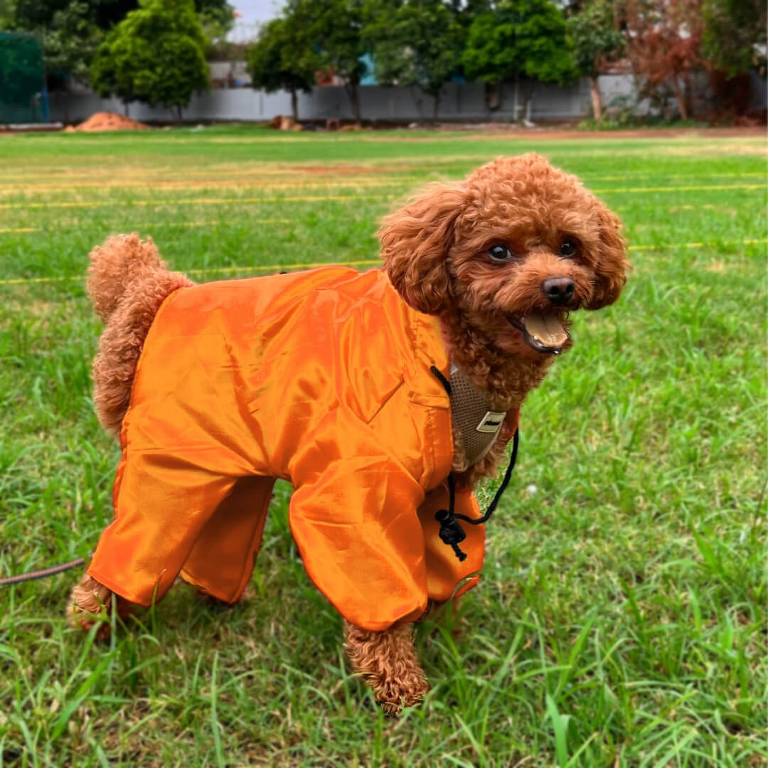 Wise Wag Four Legged Waterproof Dog Raincoat