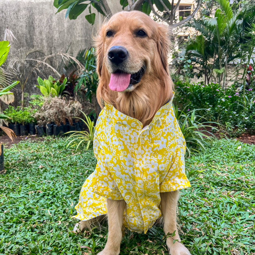 Sunny Blossom Cotton Dog Shirt