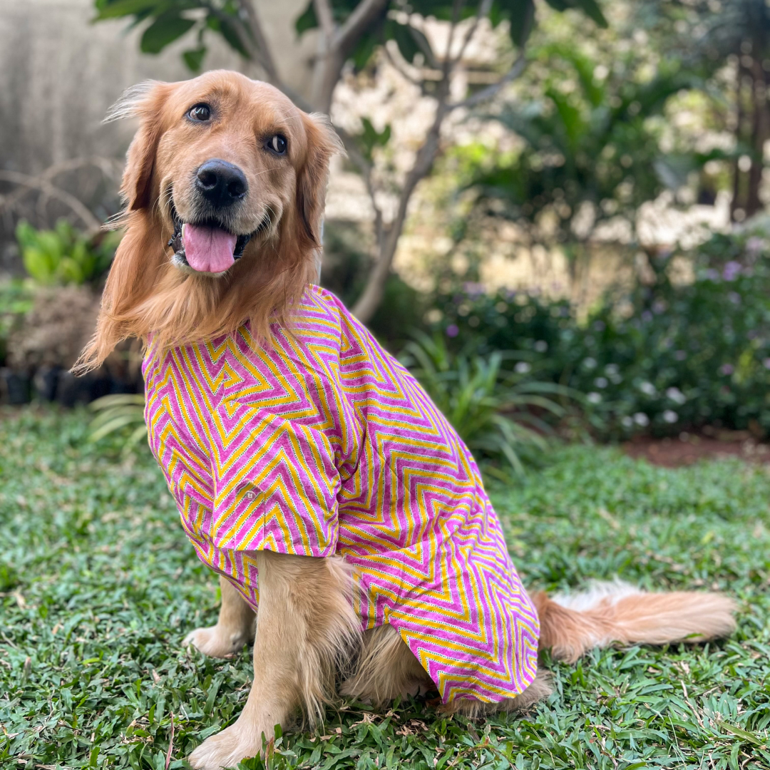 Zigzag Vibrance Dog Shirt