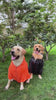 Wise Wag Two Legged Waterproof Dog Raincoat